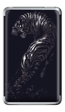 Tiger - Виниловые наклейки на iPod Classic, страница 32