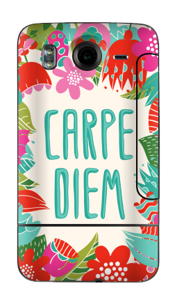 Carpe Diem - Виниловые наклейки на HTC Desire HD - купить в Москве, страница 31
