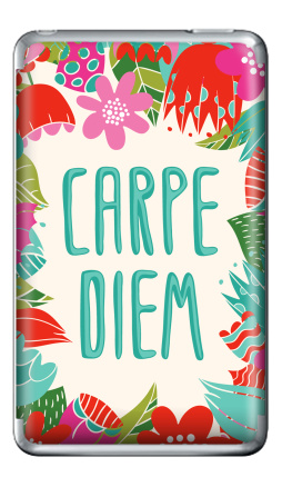 Carpe Diem - Виниловые наклейки на iPod Classic, страница 31