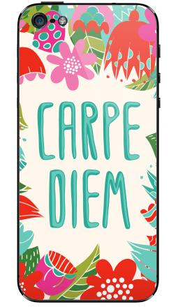 Carpe Diem - Виниловые наклейки на iPhone 5 - купить в Москве, страница 42