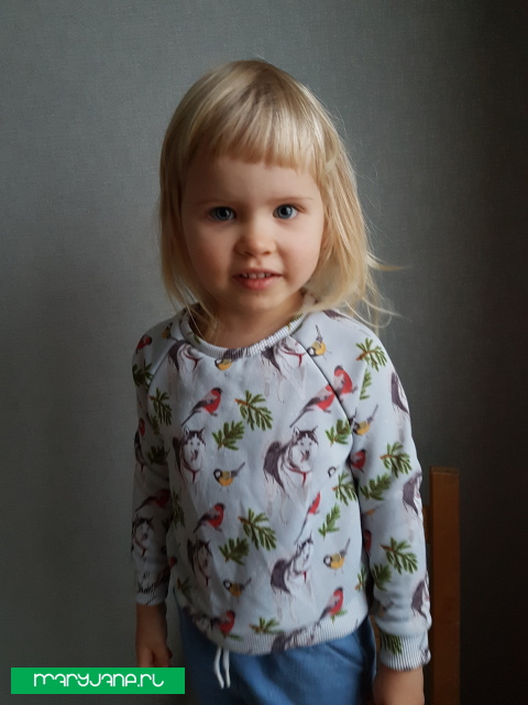 фото футболки Хаски гоняет птиц.