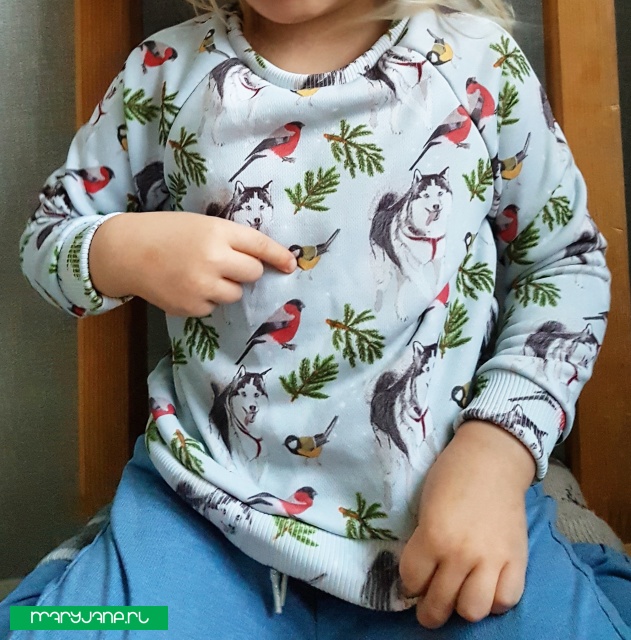 фото футболки Хаски гоняет птиц.