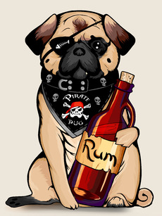 Pirate pug