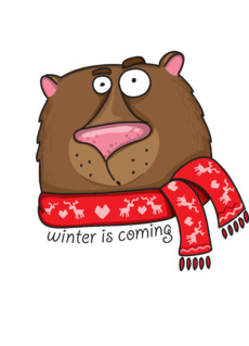 Winter is coming - Купить футболки победителей, Новинки, страница 75 