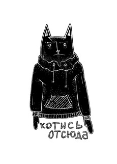 Стилизованный кот в худи с надписью