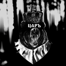 Грозный медведь царь с короной и мантией