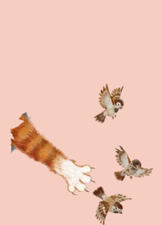 Кошачья лапа охотится на воробьев Cat Paw Hunting Sparrows - Победители недели со скидкой, Новинки 