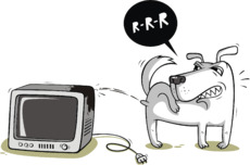 Angry Dog Peeing on Old Television – Злой пес писает на старый телевизор