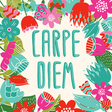 Carpe Diem - Победители недели со скидкой, Новинки 