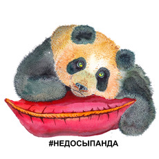 Уставшая панда с красной подушкой #НЕДОСЫПАНДА - Купить футболки победителей, Новинки, страница 25 