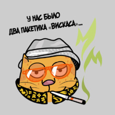 Оранжевый кот в образе гонзо-журналиста - Купить футболки победителей, Новинки, страница 50 