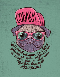 Собаки...