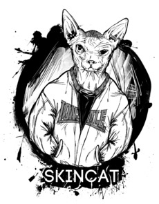 Сфинкс в куртке Лонсдейл с надписью SKINCAT