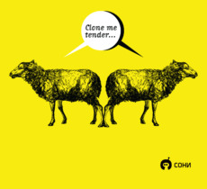 Playful Cloned Sheep Poster / Забавные клонированные овцы Clone me tender