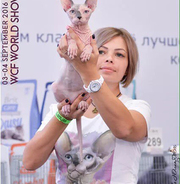Сюрреалистическая девушка  - фотографии футболок