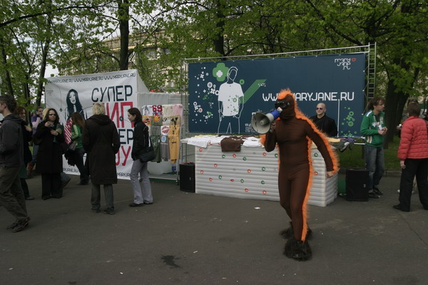 25.JPG